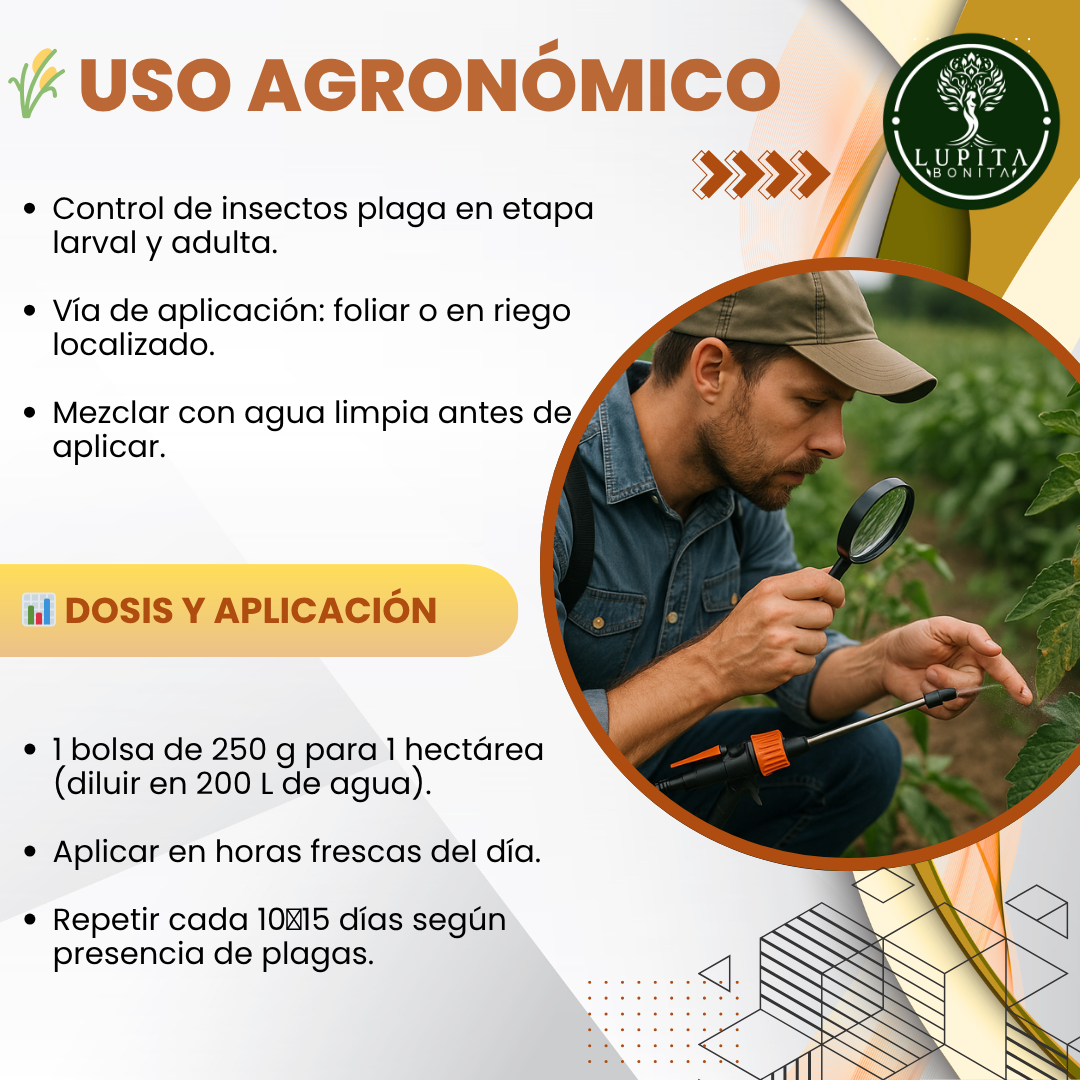 Metarhizium + Beauveria – Bioinsecticida fúngico para control agroecológico de plagas