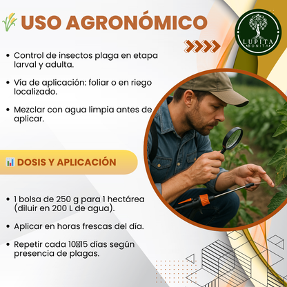 Metarhizium + Beauveria – Bioinsecticida fúngico para control agroecológico de plagas