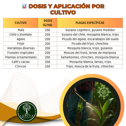 Metarhizium + Beauveria – Bioinsecticida fúngico para control agroecológico de plagas