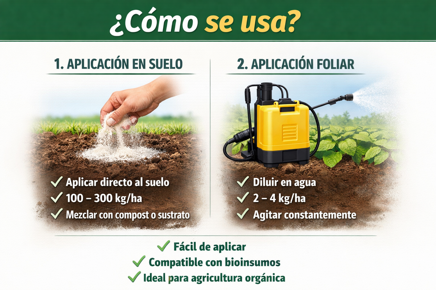 Tierra de Diatomeas – Enmienda mineral natural para mejorar suelos, controlar plagas y aportar silicio