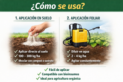 Tierra de Diatomeas – Enmienda mineral natural para mejorar suelos, controlar plagas y aportar silicio