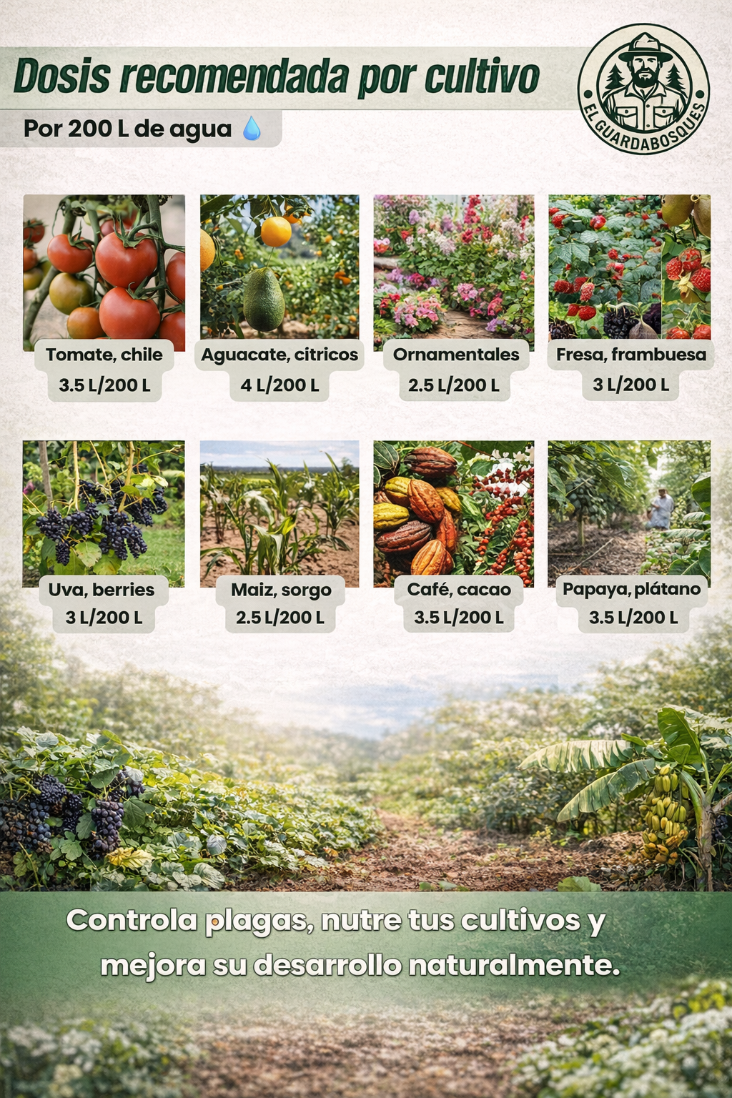 Jabón Potásico Amor Verde – Bioestimulante foliar con potasio, yodo, silicio, titanio y selenio para sanidad y resiliencia de cultivos