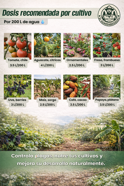 Jabón Potásico Amor Verde – Bioestimulante foliar con potasio, yodo, silicio, titanio y selenio para sanidad y resiliencia de cultivos