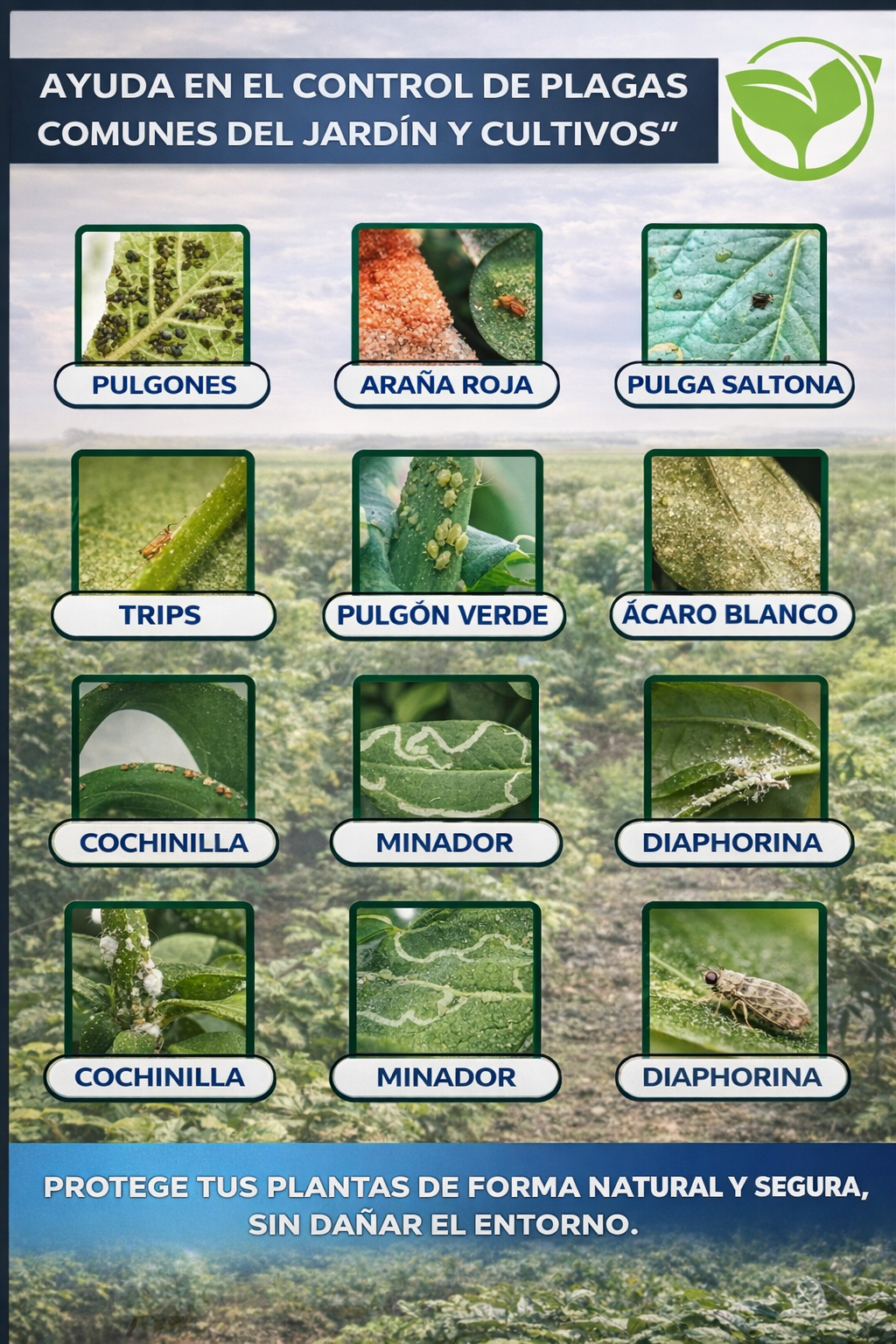 4L Jabón Potásico Fuerza Total – Insecticida, Fungicida y Acaricida Profesional para Control de Plagas en Cultivos